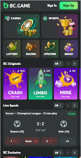 Comprehensive Guide to the BC.Game Registration Process 1729253909