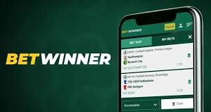 Experience the Thrills of BetWinner Casino Experience the Thrills of BetWinner Casino